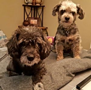 Meet your Posher, Donna